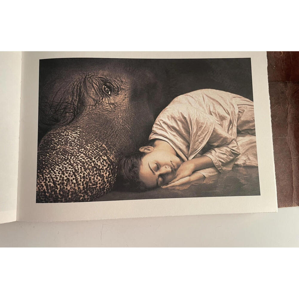 Ashes and Snow Santa Monica Pier Exhibition Catalogue 2005 - Picture 9 of 9